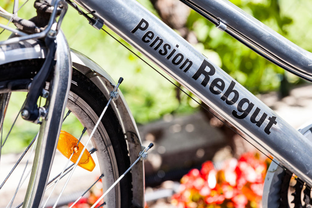Pension Rebgut Bed & Breakfast Лана Екстериор снимка